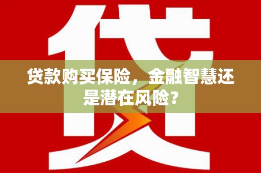 纳溪贷款购买保险，金融智慧还是潜在风险？