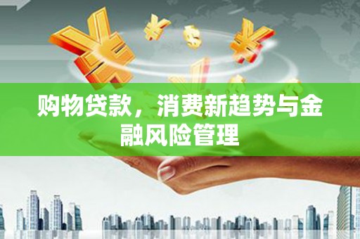纳溪购物贷款，消费新趋势与金融风险管理