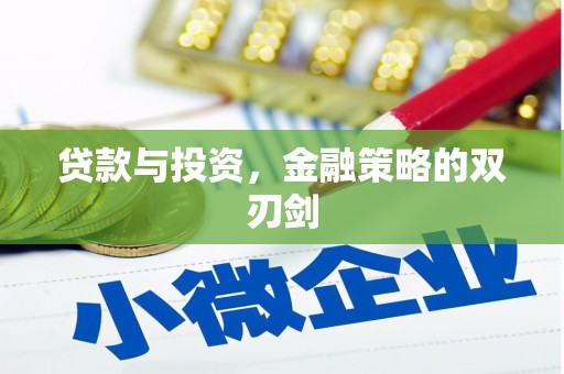 纳溪贷款与投资，金融策略的双刃剑
