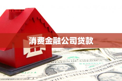 纳溪消费金融公司贷款