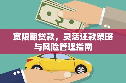 纳溪宽限期贷款，灵活还款策略与风险管理指南