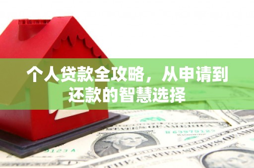纳溪个人贷款全攻略，从申请到还款的智慧选择