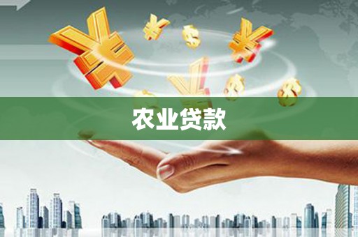 纳溪农业贷款