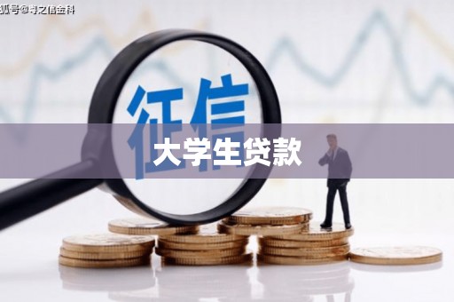 纳溪大学生贷款