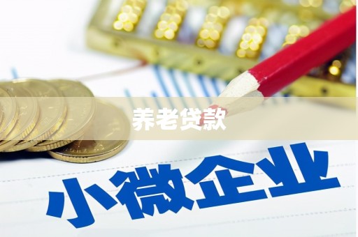 纳溪养老贷款