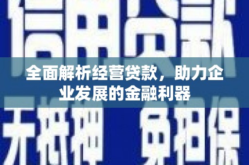 纳溪全面解析经营贷款，助力企业发展的金融利器