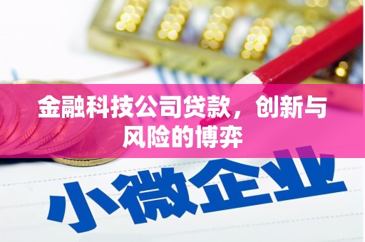 纳溪金融科技公司贷款，创新与风险的博弈