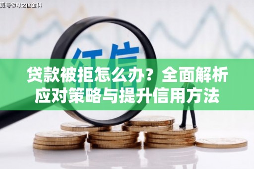 纳溪贷款被拒怎么办？全面解析应对策略与提升信用方法