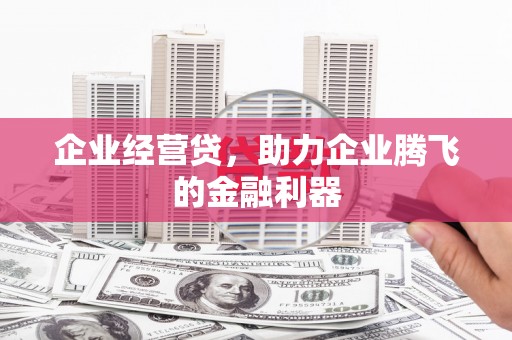纳溪企业经营贷，助力企业腾飞的金融利器