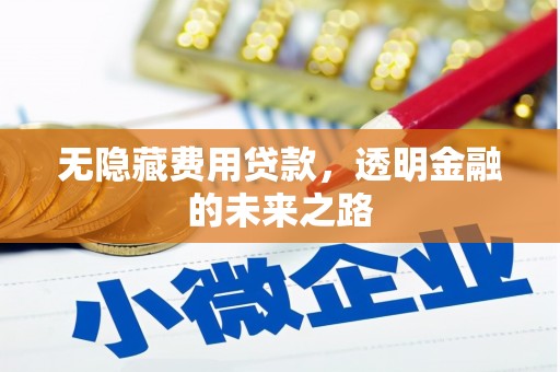 纳溪无隐藏费用贷款，透明金融的未来之路