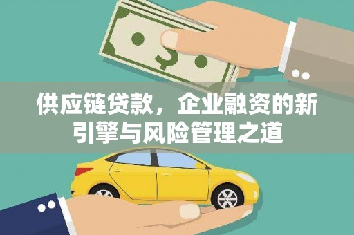 纳溪供应链贷款，企业融资的新引擎与风险管理之道