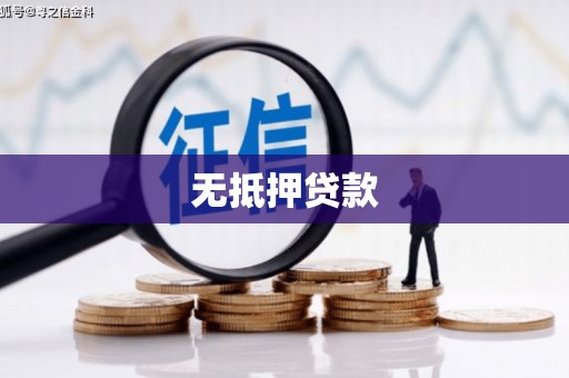 纳溪无抵押贷款