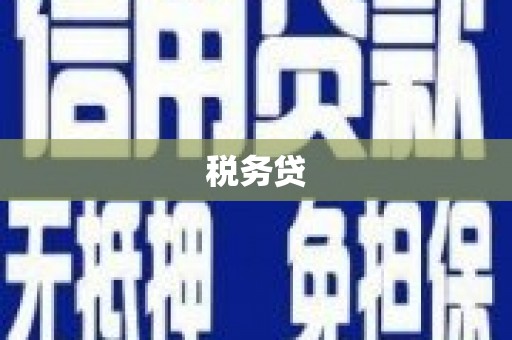 纳溪税务贷
