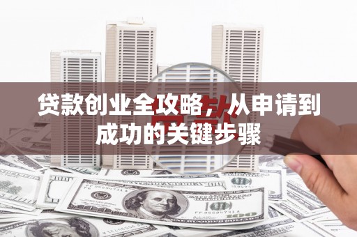 纳溪贷款创业全攻略，从申请到成功的关键步骤