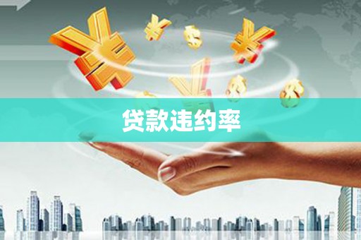 纳溪贷款违约率