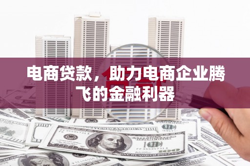 纳溪电商贷款，助力电商企业腾飞的金融利器