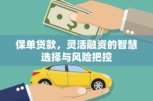 纳溪保单贷款，灵活融资的智慧选择与风险把控