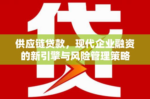 纳溪供应链贷款，现代企业融资的新引擎与风险管理策略