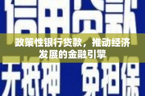 纳溪政策性银行贷款，推动经济发展的金融引擎