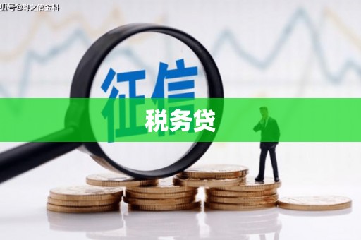 纳溪税务贷