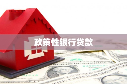 纳溪政策性银行贷款