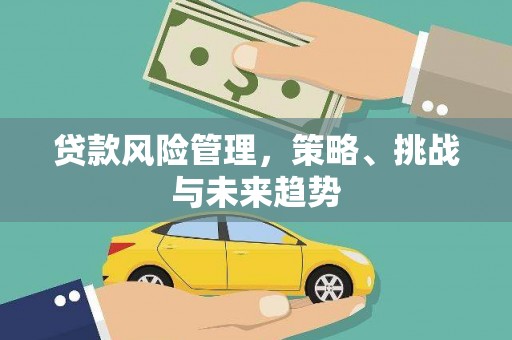 纳溪贷款风险管理，策略、挑战与未来趋势