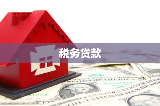 纳溪税务贷款