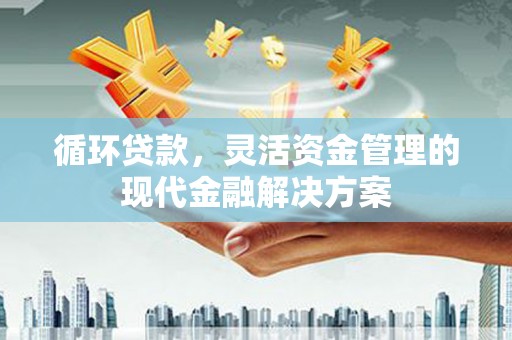 纳溪循环贷款，灵活资金管理的现代金融解决方案