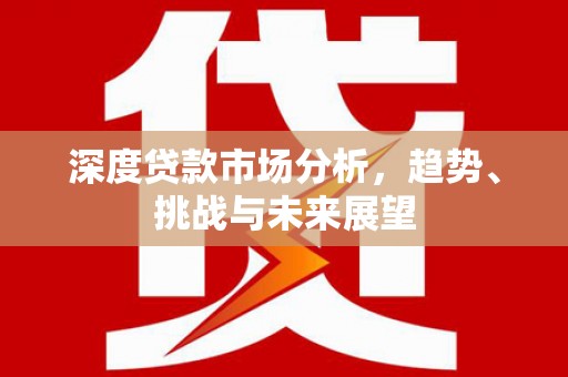 纳溪深度贷款市场分析，趋势、挑战与未来展望