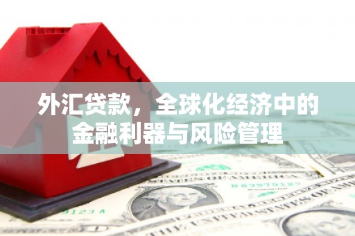 纳溪外汇贷款，全球化经济中的金融利器与风险管理