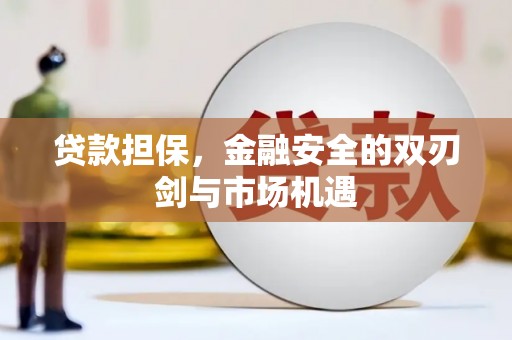 纳溪贷款担保，金融安全的双刃剑与市场机遇