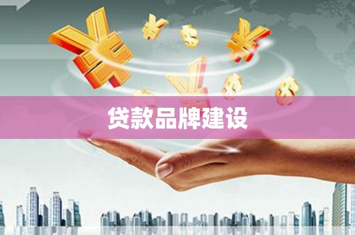 纳溪贷款品牌建设