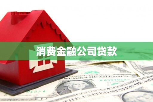 纳溪消费金融公司贷款