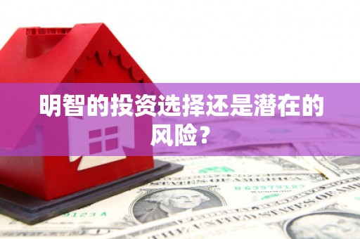纳溪明智的投资选择还是潜在的风险？