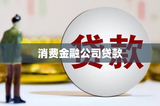 纳溪消费金融公司贷款