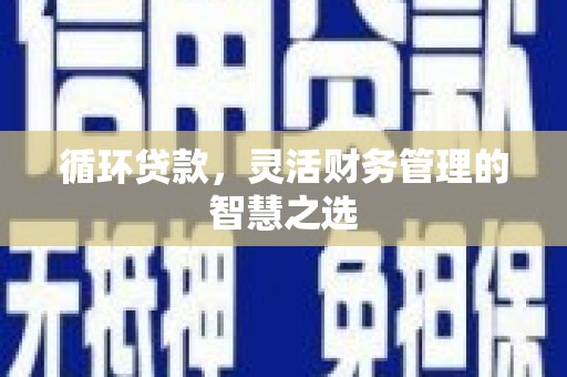 纳溪循环贷款，灵活财务管理的智慧之选