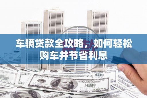 纳溪车辆贷款全攻略，如何轻松购车并节省利息