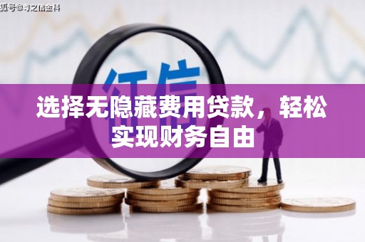 纳溪选择无隐藏费用贷款，轻松实现财务自由