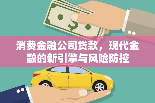 纳溪消费金融公司贷款，现代金融的新引擎与风险防控