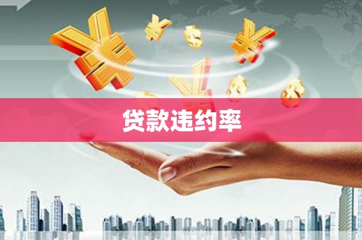 纳溪贷款违约率
