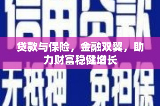 纳溪贷款与保险，金融双翼，助力财富稳健增长