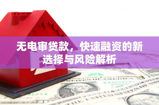 纳溪无电审贷款，快速融资的新选择与风险解析