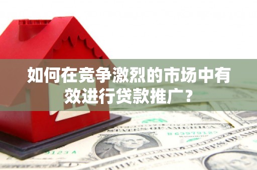 纳溪如何在竞争激烈的市场中有效进行贷款推广？