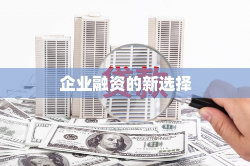 纳溪企业融资的新选择