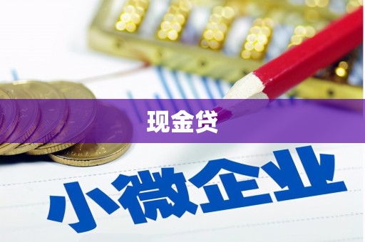 纳溪现金贷