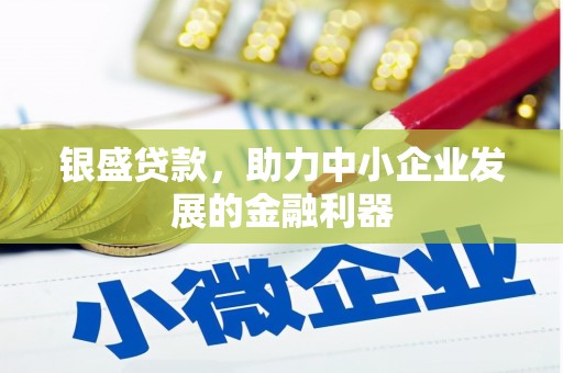 纳溪银盛贷款，助力中小企业发展的金融利器