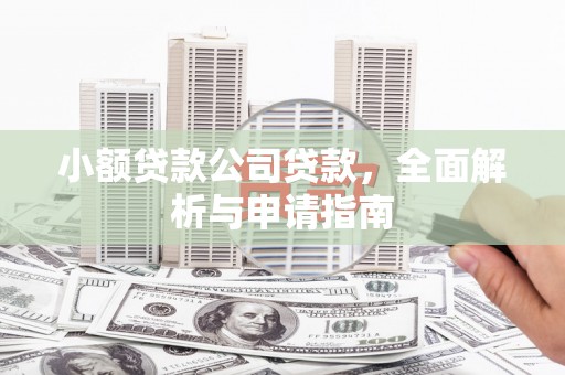 纳溪小额贷款公司贷款，全面解析与申请指南