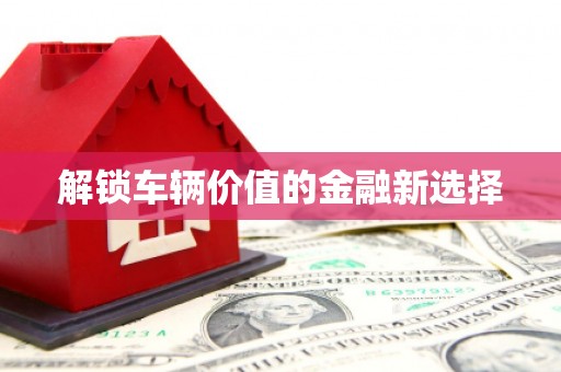 纳溪解锁车辆价值的金融新选择
