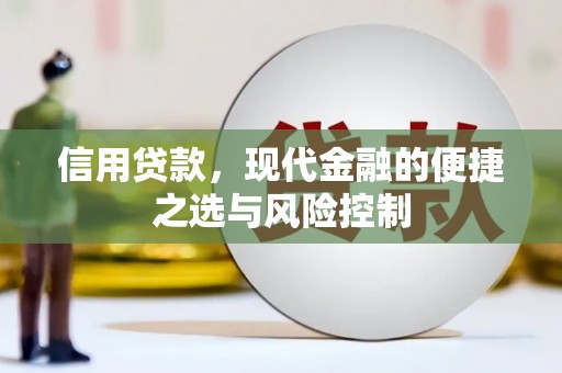 纳溪信用贷款，现代金融的便捷之选与风险控制