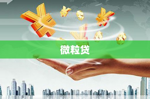 纳溪微粒贷